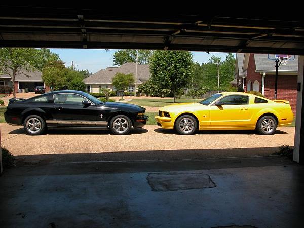 My Two Mustangs-dscn0022s.jpg