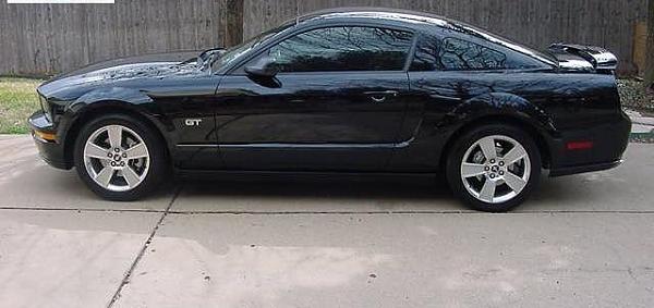 New pony coming to the stable-20071741_04.jpg