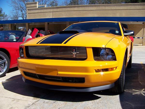 New to Mustang Source Forums-steve1.jpg