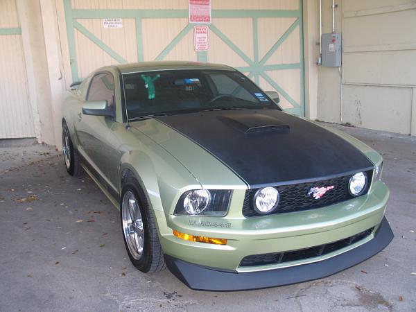 Green  Goes Fast-lucys-back.jpg