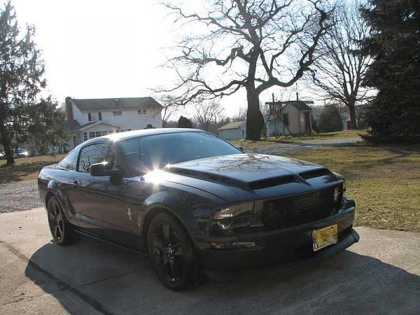 New here, from 'Souf Joisee'-306663569.jpg