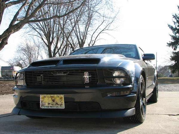 New here, from 'Souf Joisee'-306663507.jpg