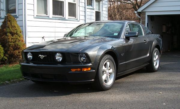 New from Jersey-2008-mustang-fr.jpg