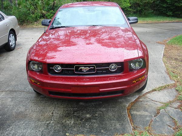 Greetings from sunny Florida-dsc01539.jpg