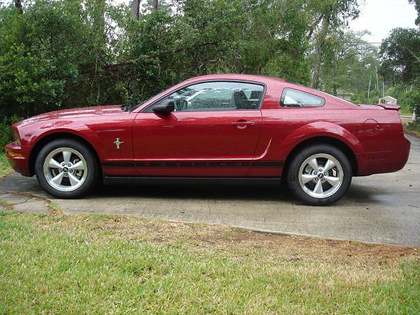 Greetings from sunny Florida-dsc01541.jpg