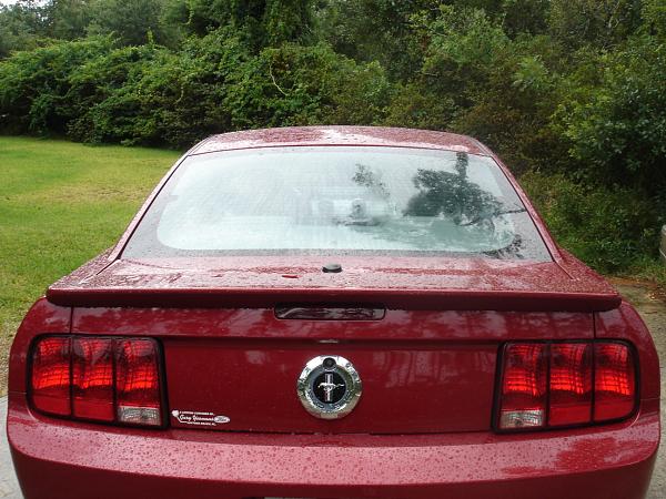 Greetings from sunny Florida-dsc01538.jpg