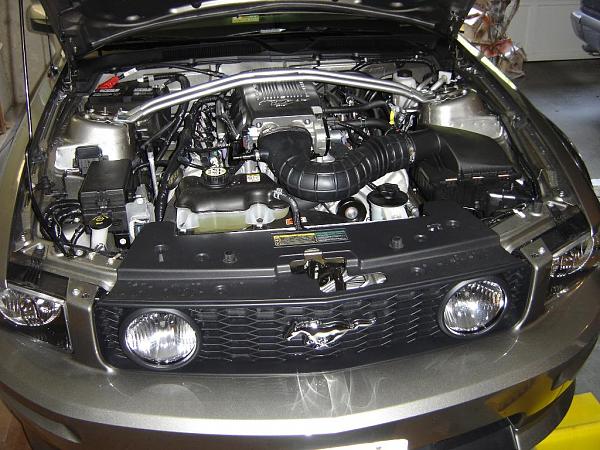 My 2009 Vapor GT/CS-engine-bay-bay-grille-20080712.jpg