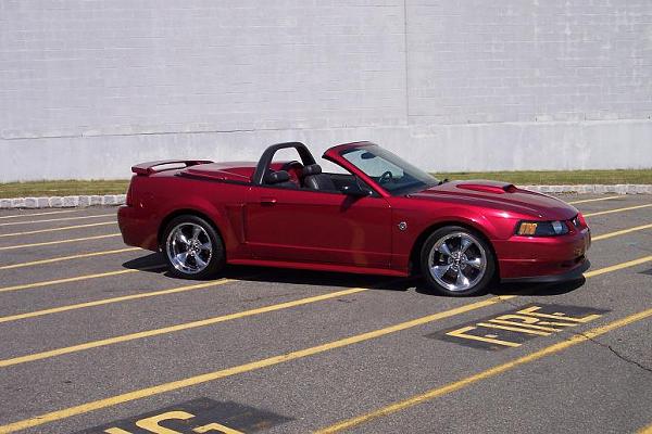 New to TMS-stang0.jpg