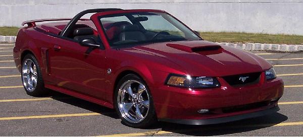 New to TMS-stang03.jpg