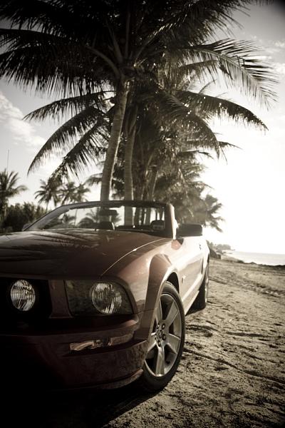 Another one from NC-img_6728.jpg