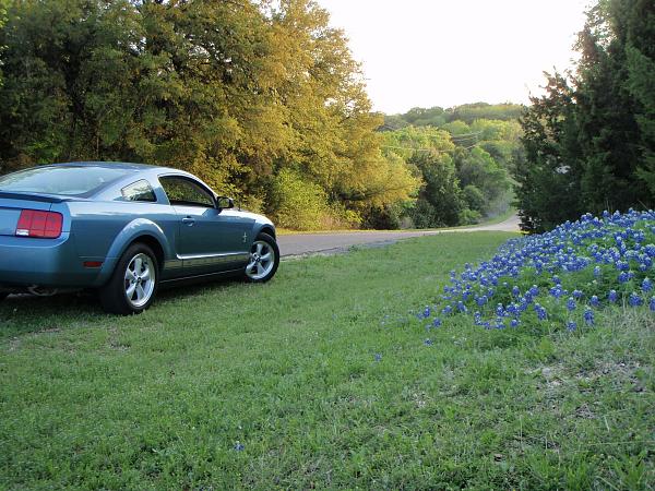 New here-p4050144.jpg