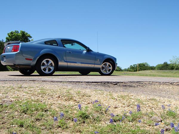 New here-p4240115.jpg