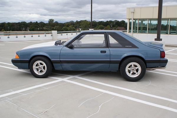 New Mustang Member - Detroit-dsc01223-resize-.jpg