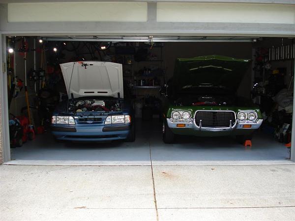 New Mustang Member - Detroit-dsc00299-large-.jpg