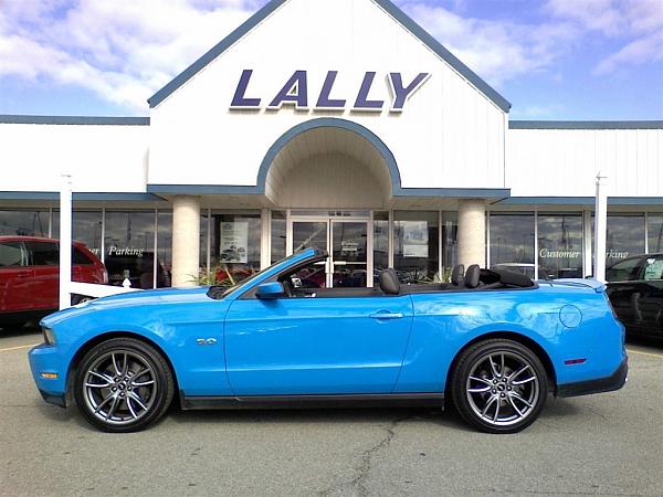 New guy-on20071114160159655_2010102922522847345310-orig-1-.jpg