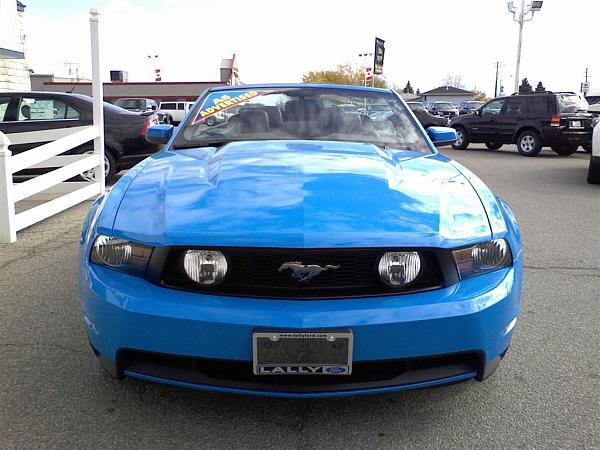 New guy-on20071114160159655_2010102922522850473555-orig-1-.jpg