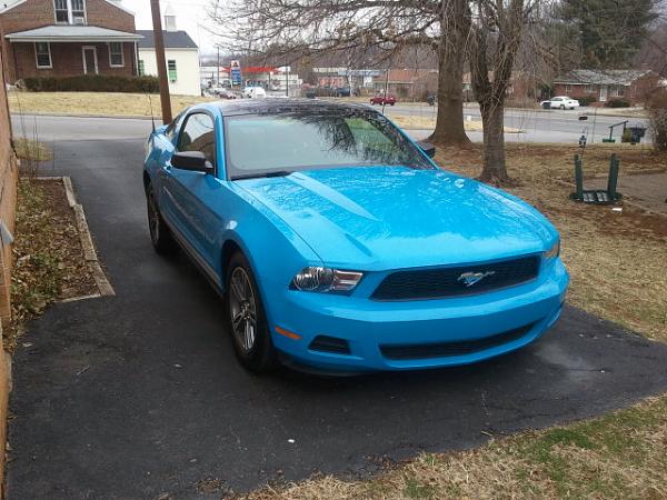 New guy-2011-02-22-15.02.16.jpg