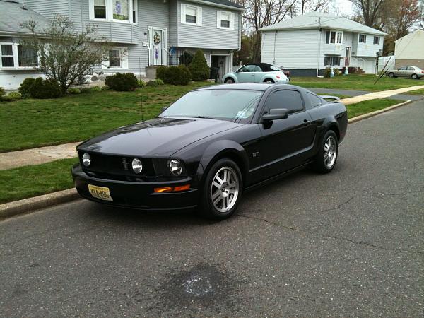 Hey, I'm new.-mustang.jpg