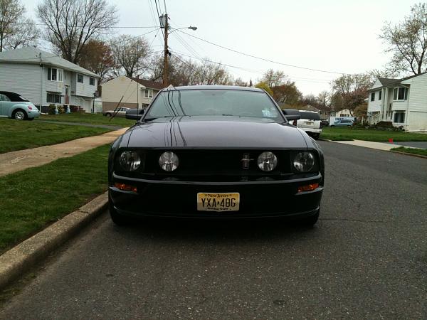 Hey, I'm new.-mustang-front.jpg
