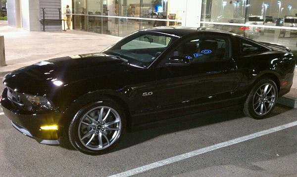 Arizona Mustang here.-241356_10150206268508515_684948514_7147798_2246871_o.jpg