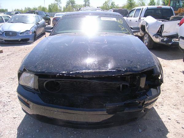 My New Toy in NYC-15241061_ax.jpg