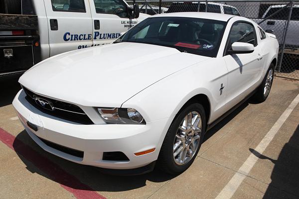 Hello Everyone-wed8-24-001_1392x928.jpg