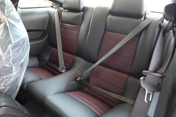 Hello Everyone-wed8-24-006_1392x928-1-.jpg