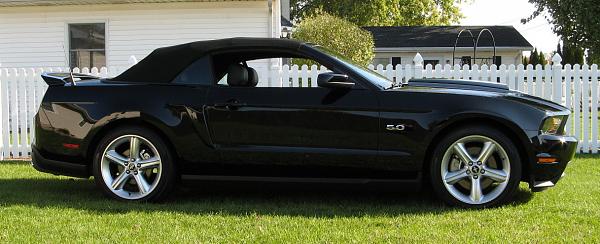 New 5.0....Again!-img_0014.jpg