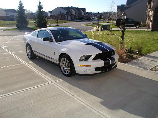 newbie from Indianapolis  In-big-dstang-00111.jpg