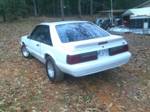 Name:  image-235954012.jpg
Views: 101
Size:  22.7 KB