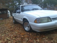 Name:  image-626251281.jpg
Views: 105
Size:  22.8 KB