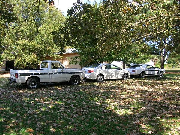 New Member-walking-stick-025.jpg