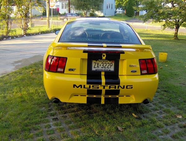 tes.... ting 1 2, 1 2-04_mustang_rearb.jpg