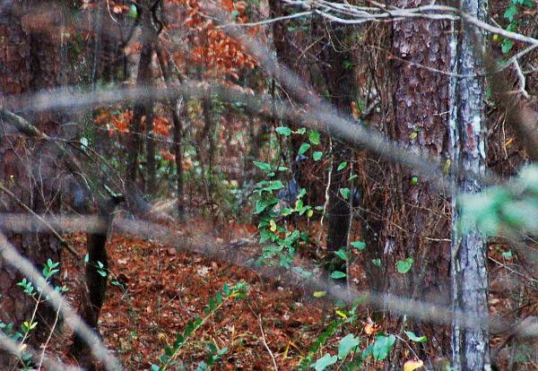 Can't Add Attachments???-dsc_1211.jpg