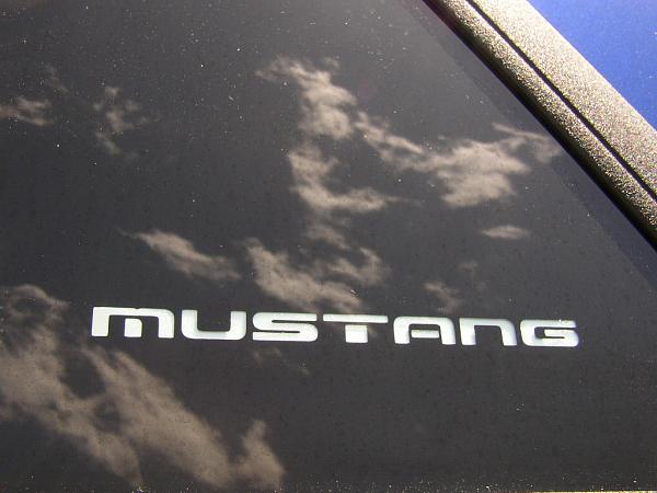 Member Ranks pt 2-my-mustang-6-7-07-065.jpg