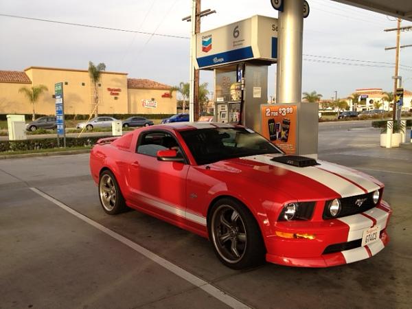 Ponies on The Run!-photo-12-.jpg