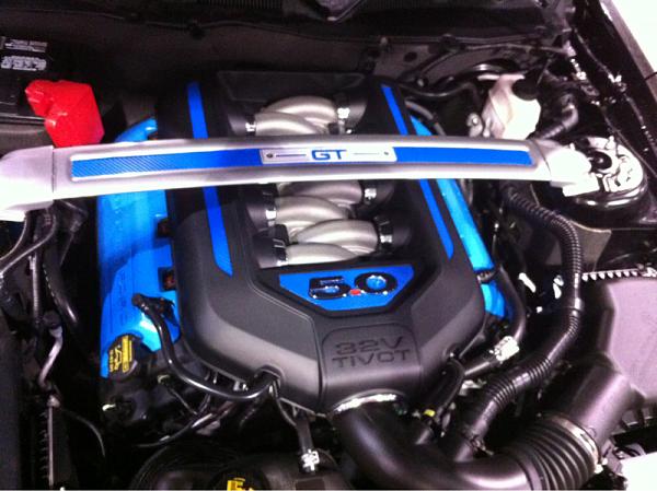 What did you do with your Mustang today?*-image-700846204.jpg
