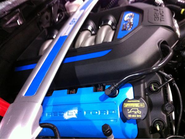 What did you do with your Mustang today?*-image-3115929336.jpg