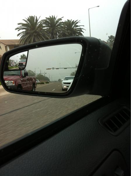 What did you do with your Mustang today?*-image-319491793.jpg