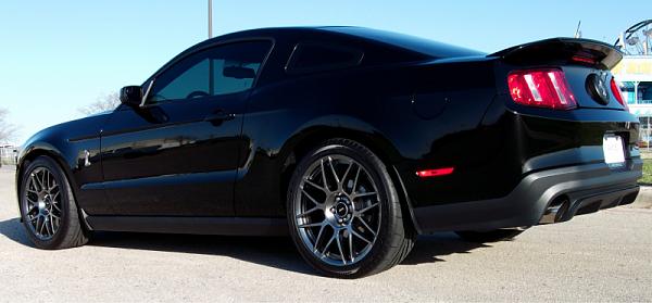 GT 500 or 5.0-image-3522552384.jpg