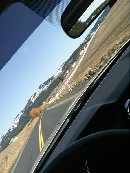 What did you do with your Mustang today?*-image-4064815736.jpg