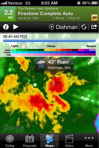 What did you do with your Mustang today?*-image-3794685612.jpg