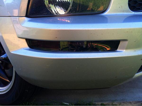 What did you do with your Mustang today?*-image-3843312959.jpg