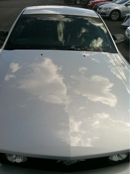 What did you do with your Mustang today?*-image-3231490274.jpg