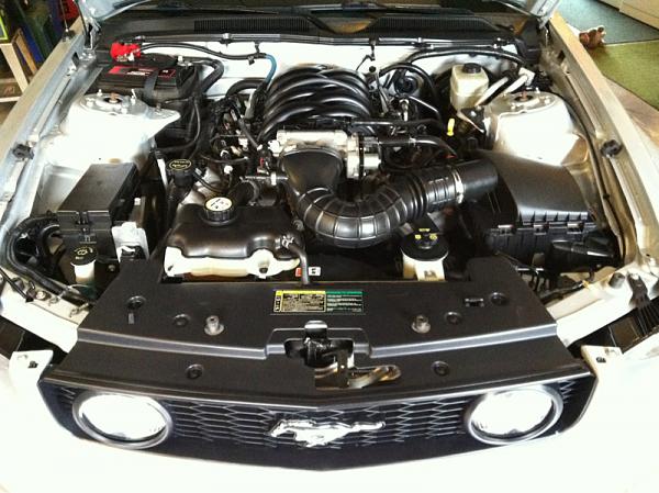 What did you do with your Mustang today?*-image-1766880717.jpg