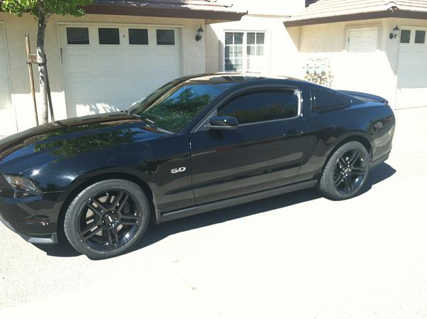 What did you do with your Mustang today?*-image-953850630.jpg