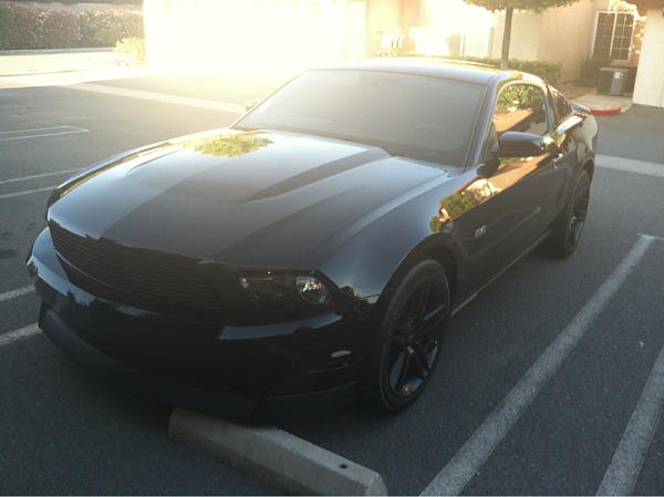 What did you do with your Mustang today?*-image-2558643534.jpg