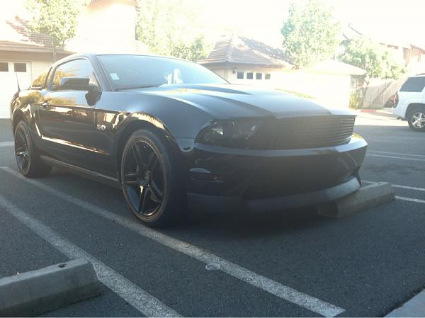 What did you do with your Mustang today?*-image-911851958.jpg