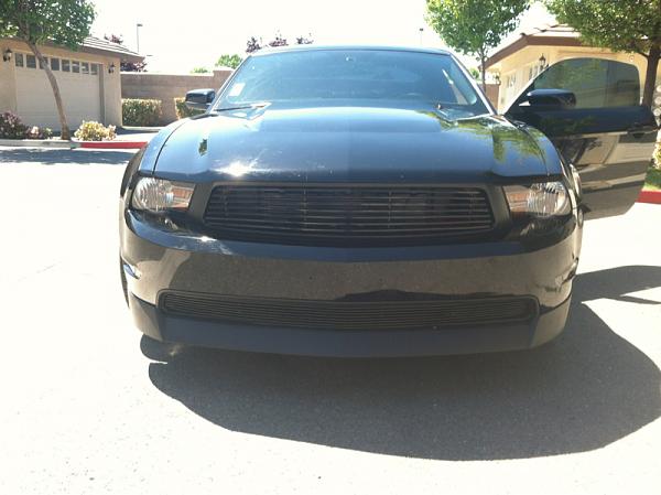 What did you do with your Mustang today?*-image-2210385370.jpg