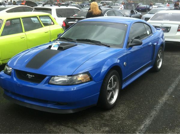 What did you do with your Mustang today?*-image-3027857572.jpg